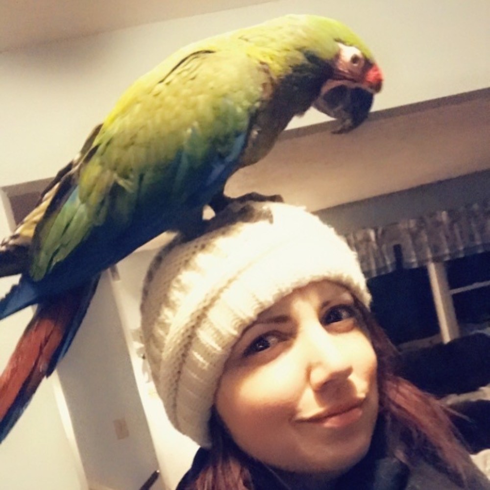 Meet your Posher, Sunny